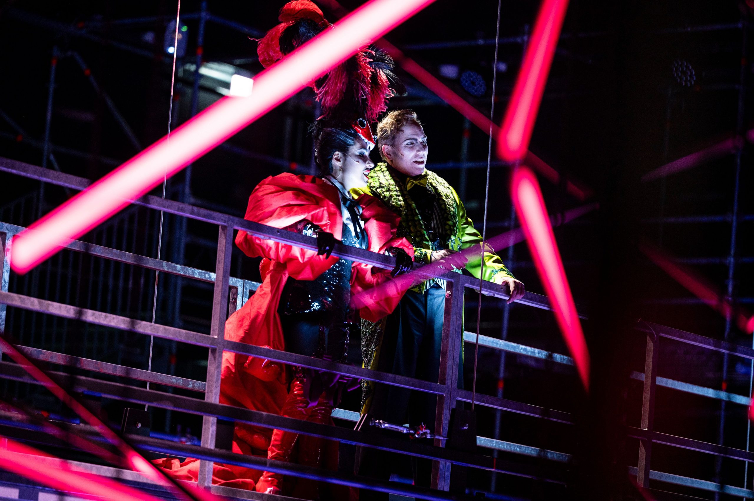 Mehr über den Artikel erfahren Die Fledermaus